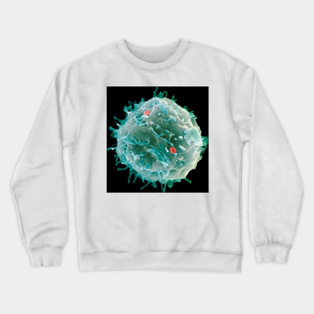 Stem cell, SEM (G442/0451) Crewneck Sweatshirt by SciencePhoto